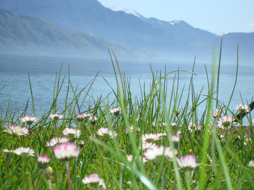 Hotel Seegasthof Oberndorfer Attersee Luaran gambar